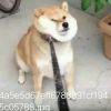 ☞♚威♛☜