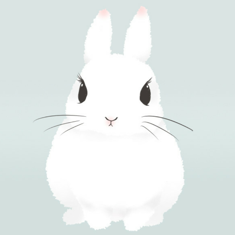 Rabbit_VIP