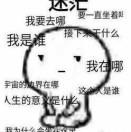银鞍照白马