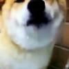 后来