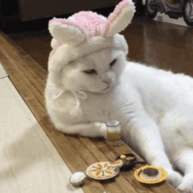 😶 真理