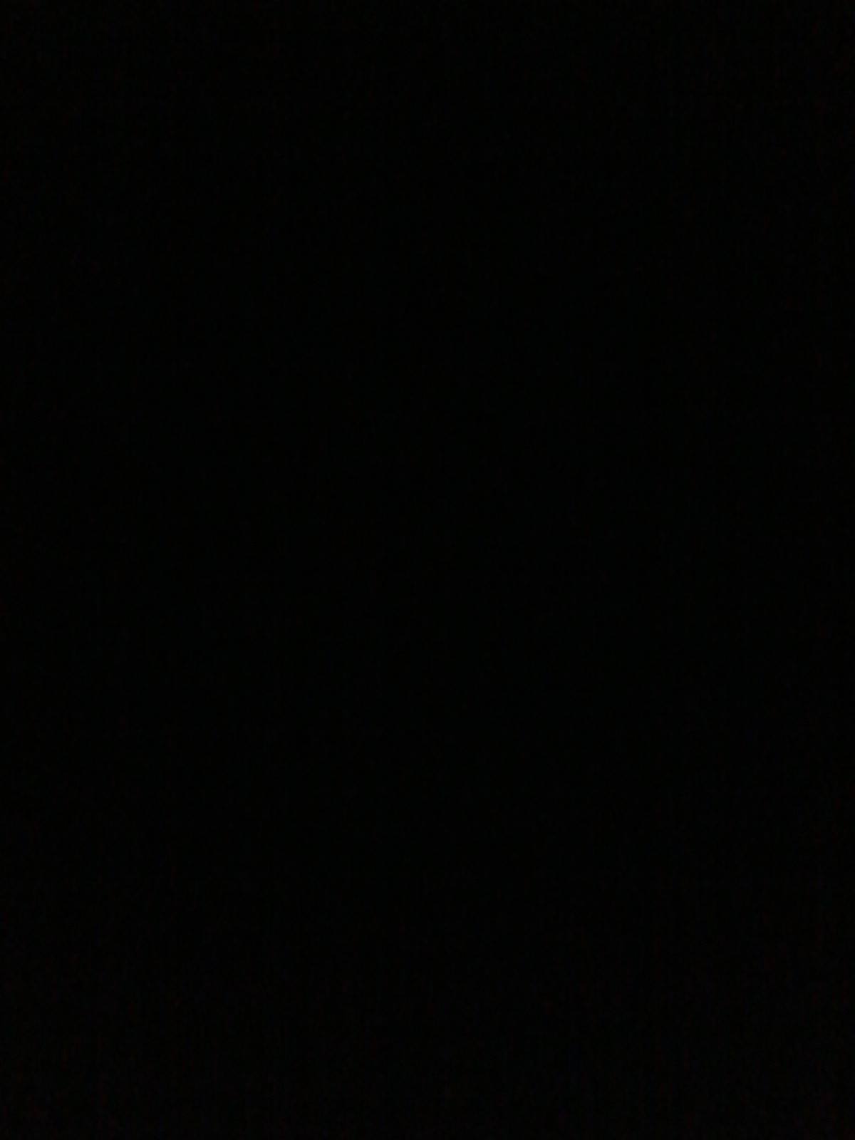 장동효