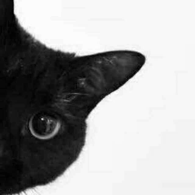 Catle