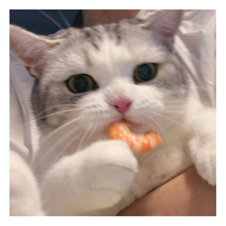 酱酱