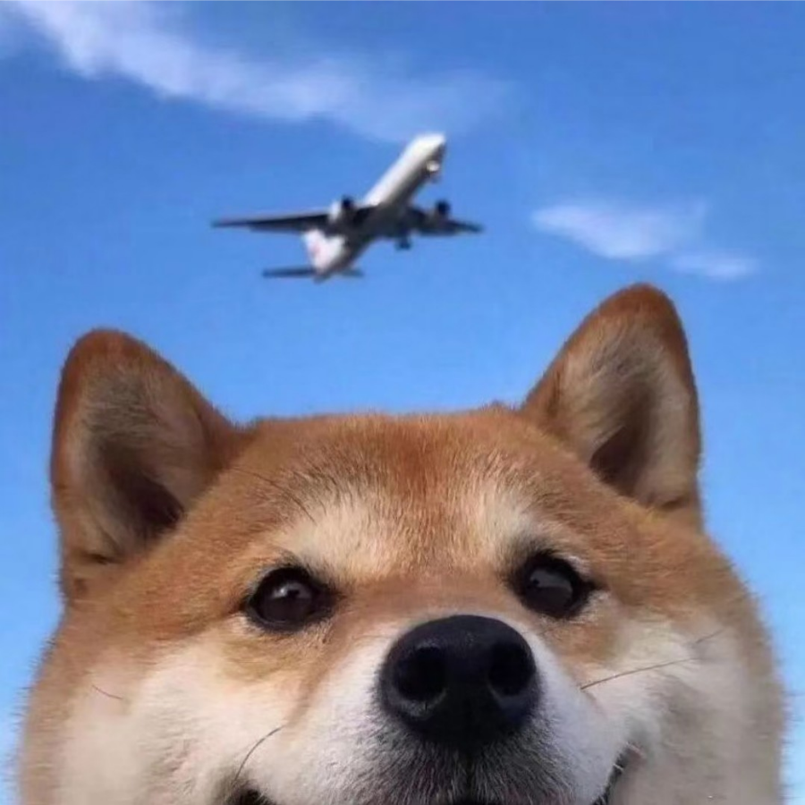 杰杰