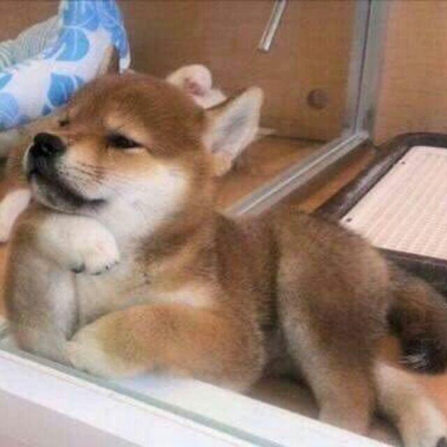λ葬ぁǒ靉