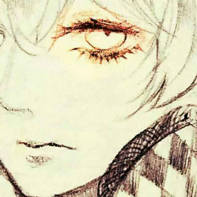 可可爱爱莫得脑袋