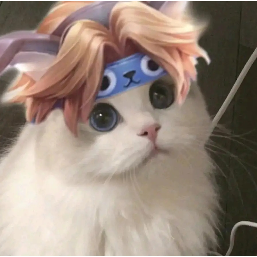 猫有九命唯有一心💕
