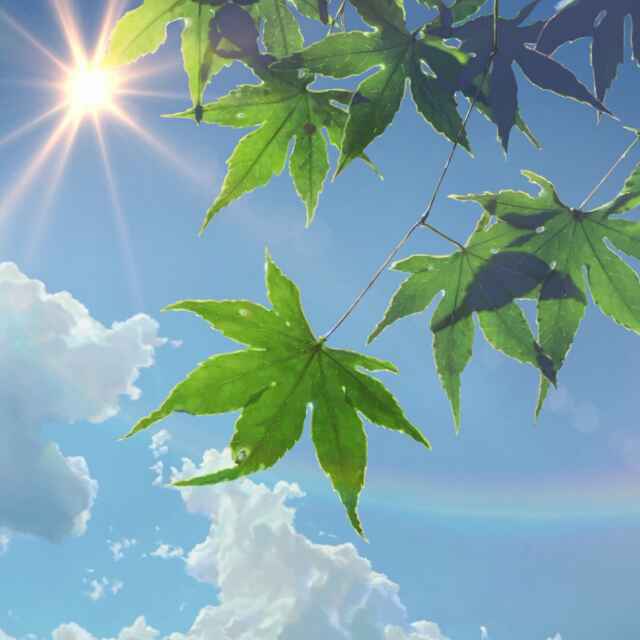 阿派
