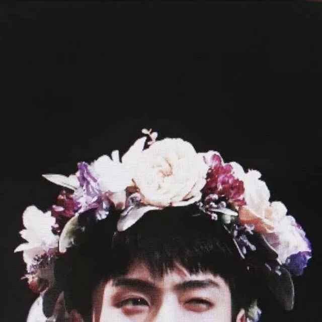 勋狍子