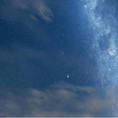 喵嗷呜~