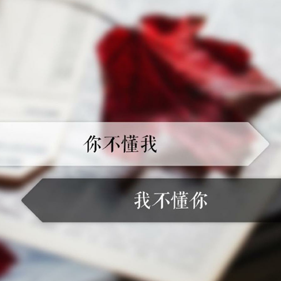 我不懂