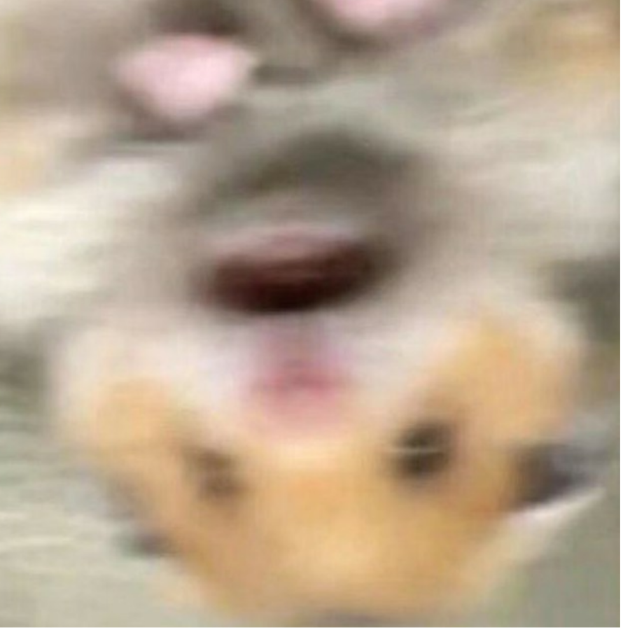 我滴个亲娘嘞