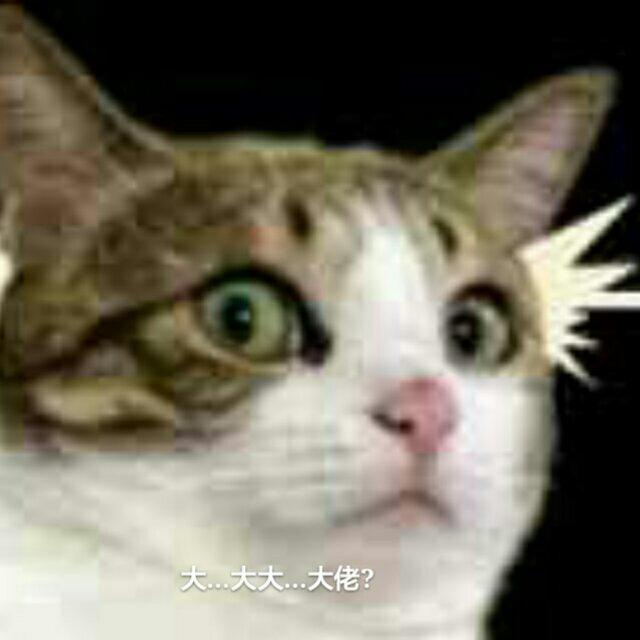 淡