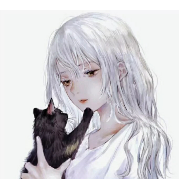肥崽橘猫