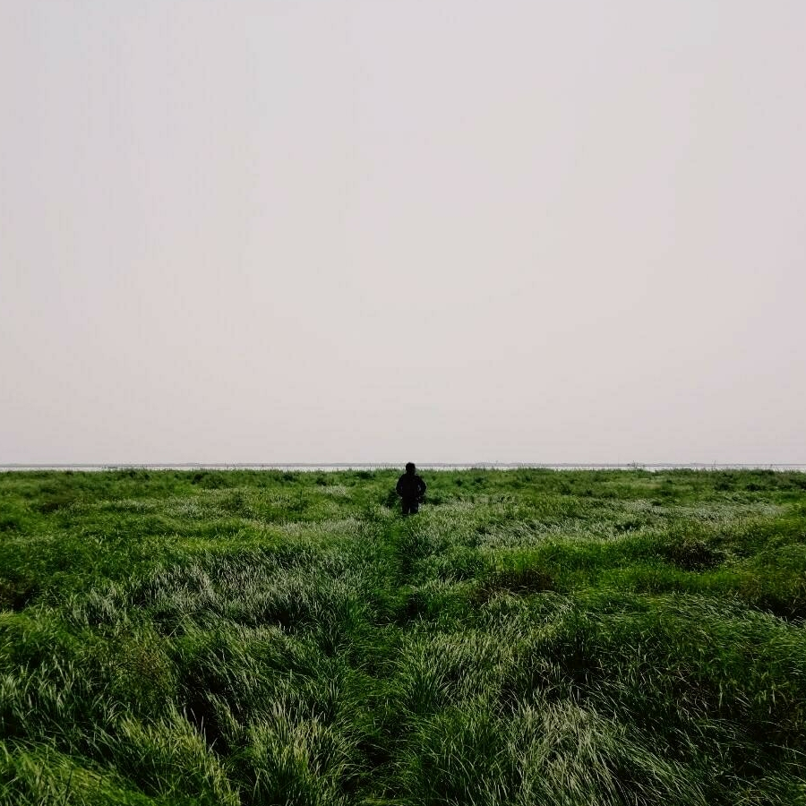 茕茕粥粥