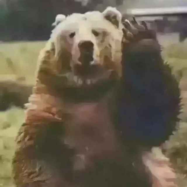 绿毛的勇者