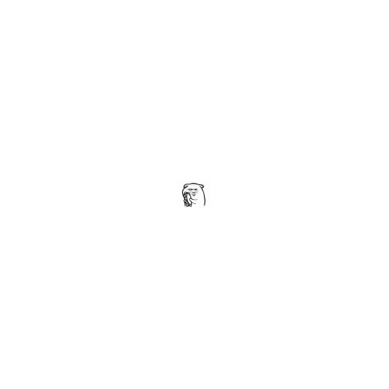 消灭大魔王的勇者