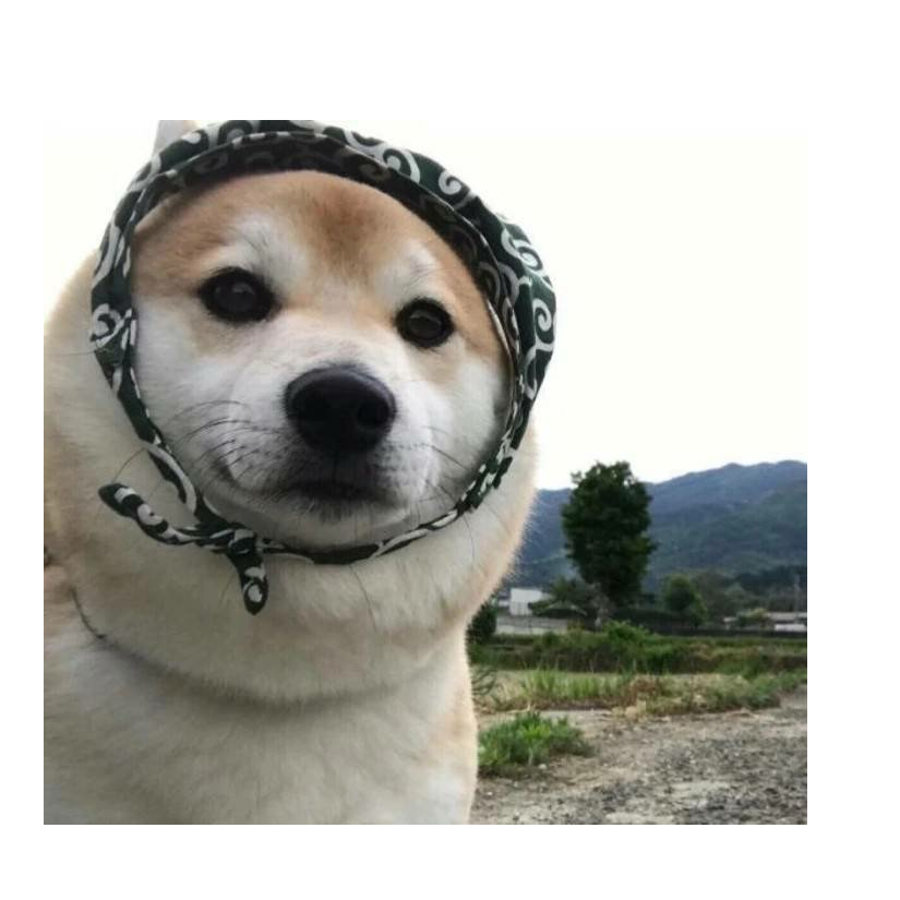 单人旅途
