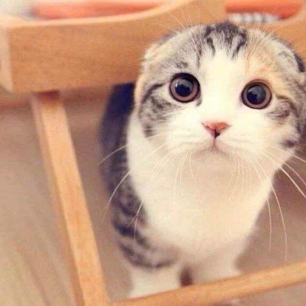 辉二