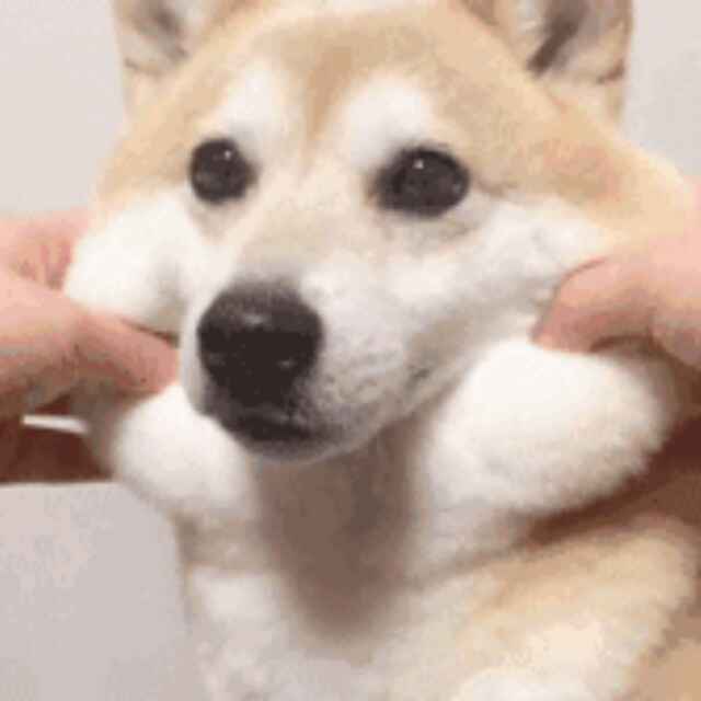 炎玄魂