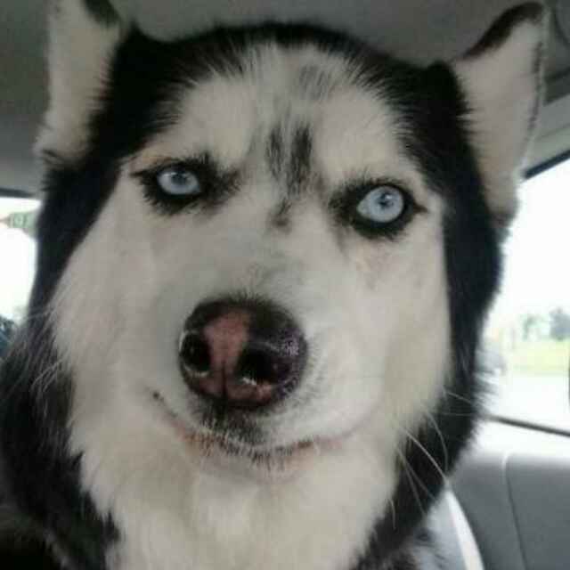 。。。。