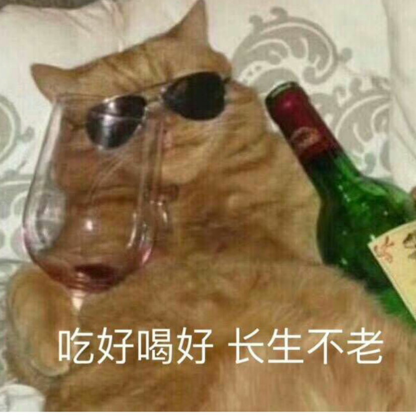 我要当欧王