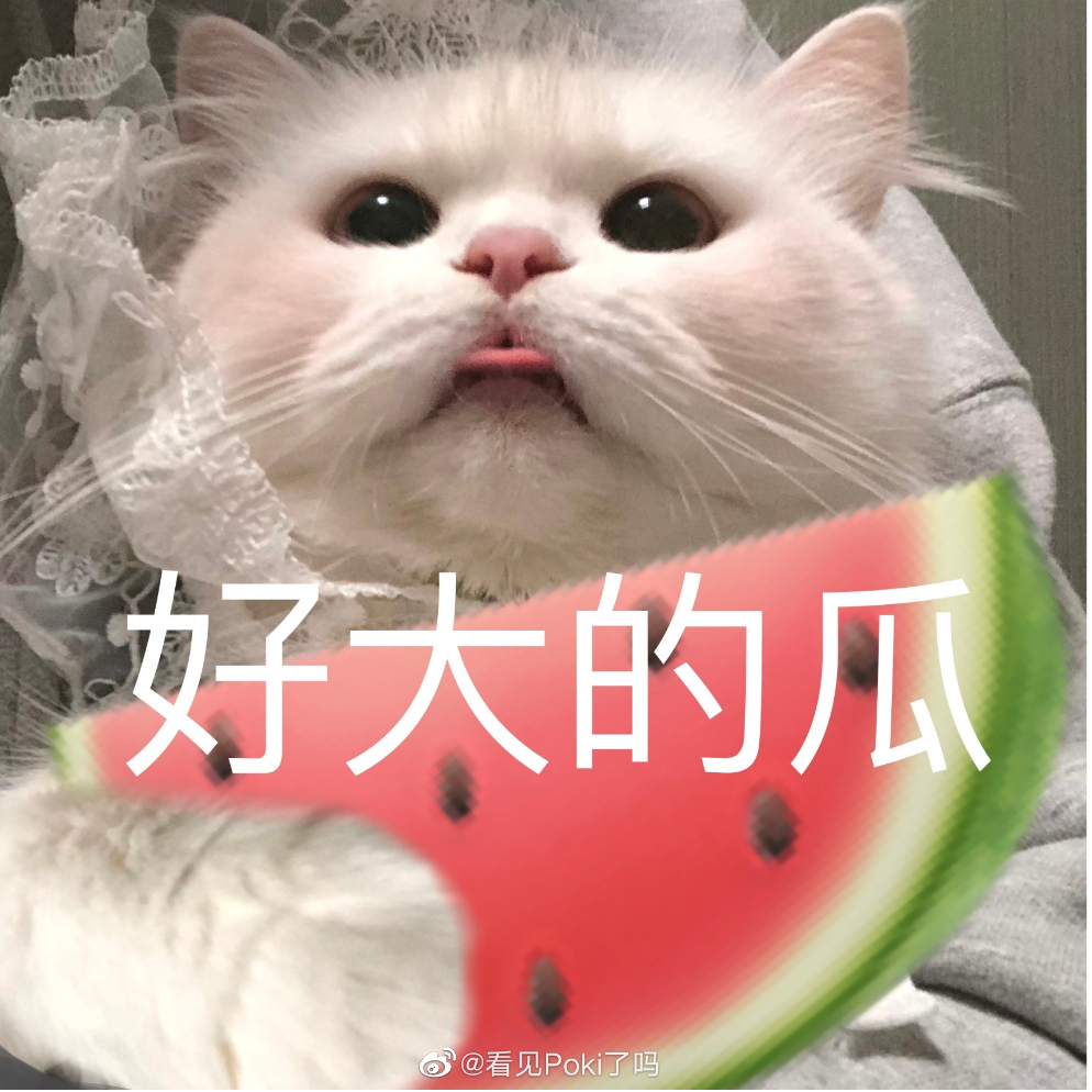 爱玩游戏的蕉麻