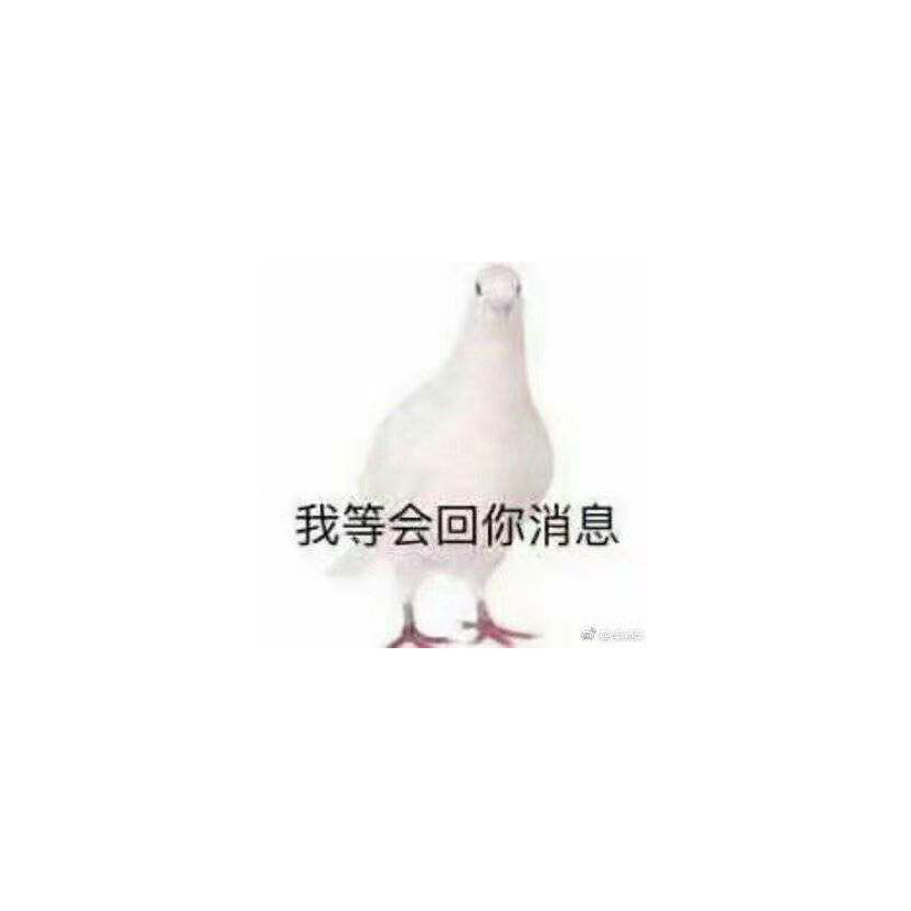 南梦华