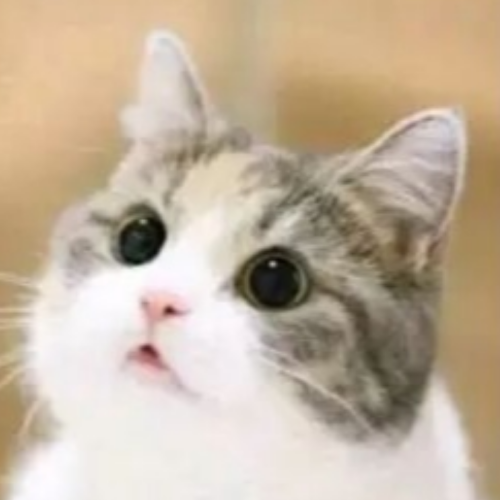 呆毛异
