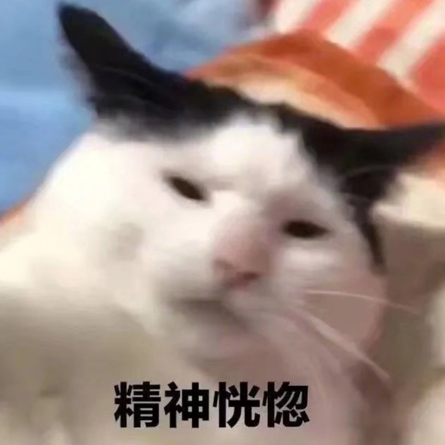 jsdhwdmaX