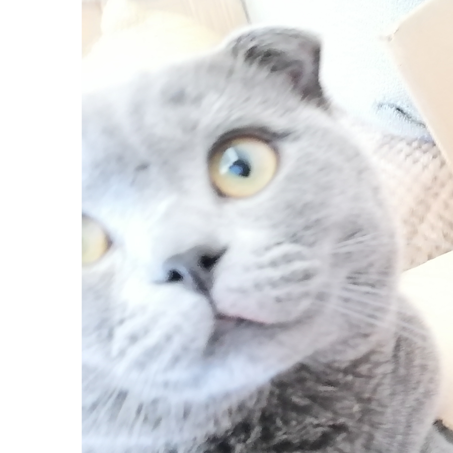 老了的柒
