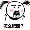 绍