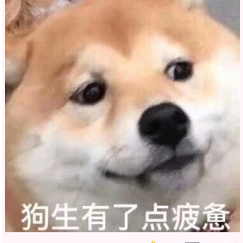 狗生有些疲惫