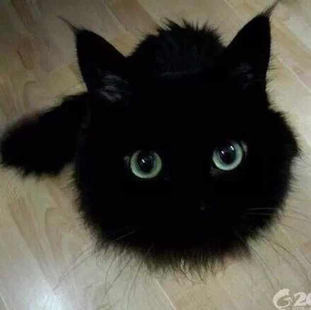 陆亮