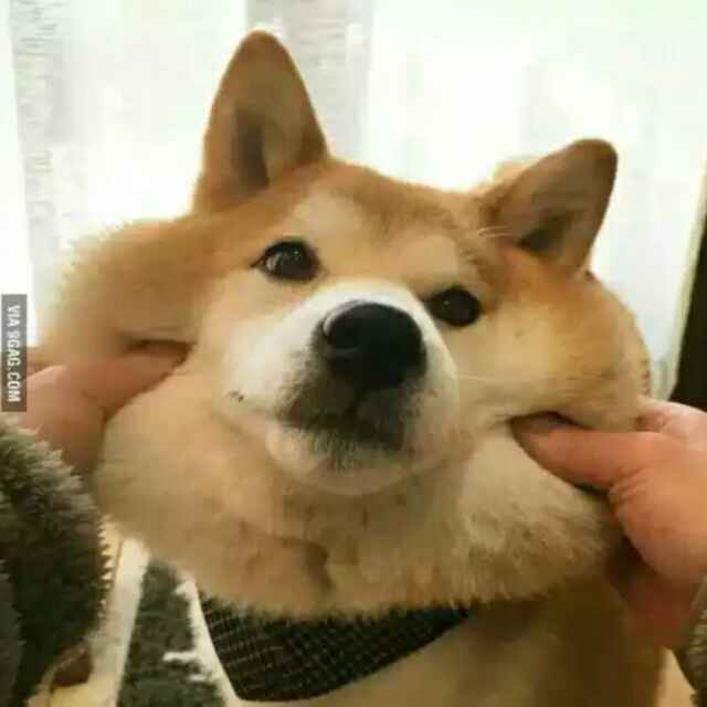 杰