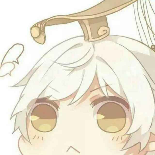 笨T狸猫
