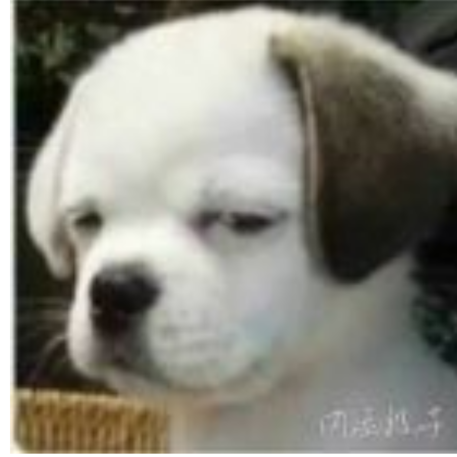 青春在站台向我挥别