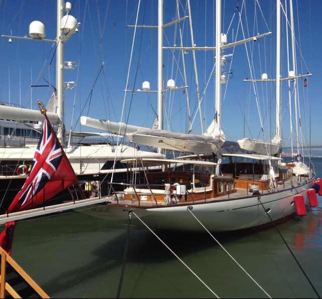 ฅ🐯ฅDannyฅ🐶ฅ