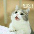阿泽