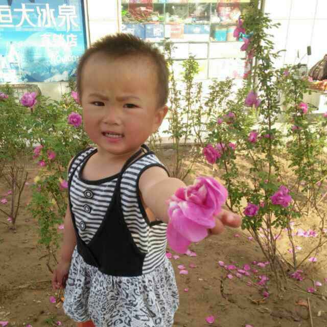 刘桂梅