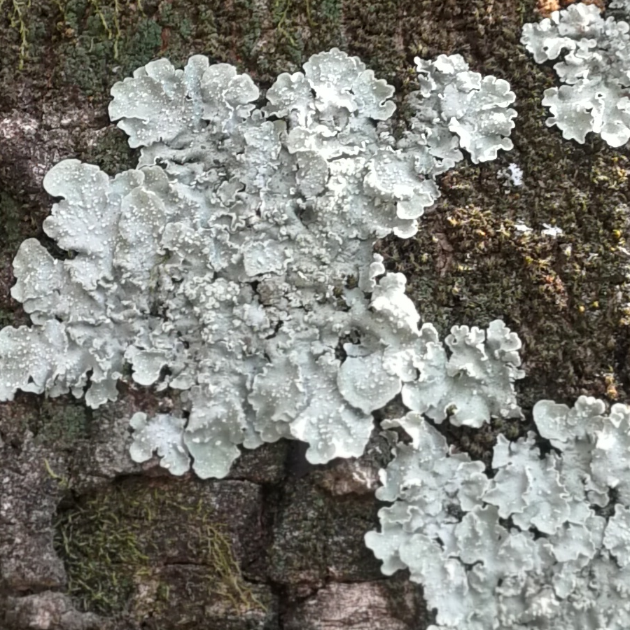 昨天下大雨