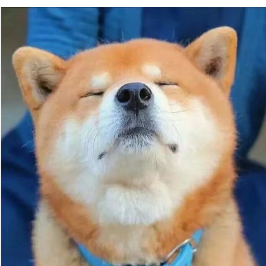 老包子