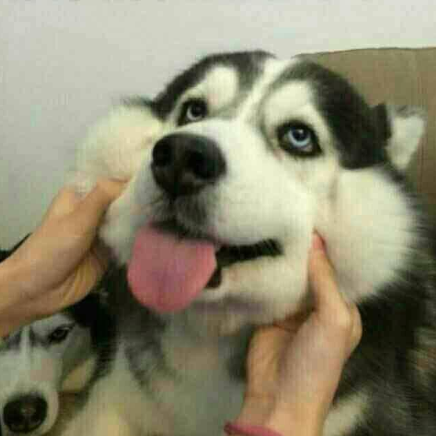 云上黄昏