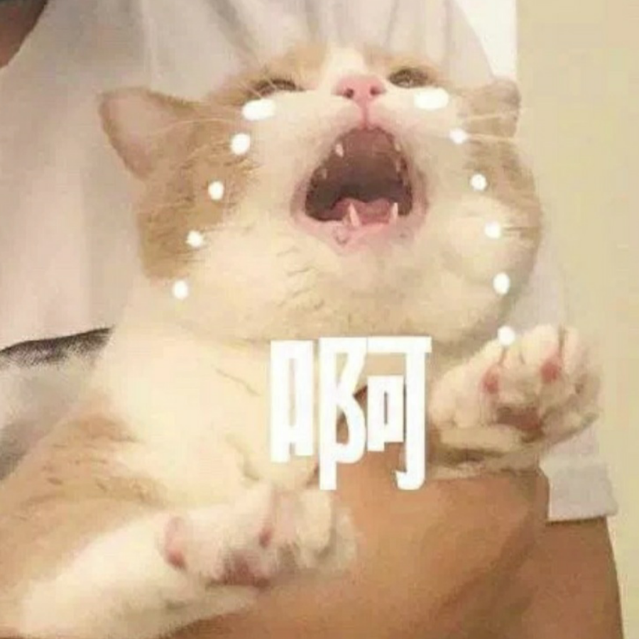 咔咔4号