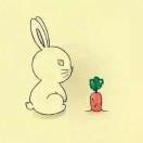 .Rabbit
