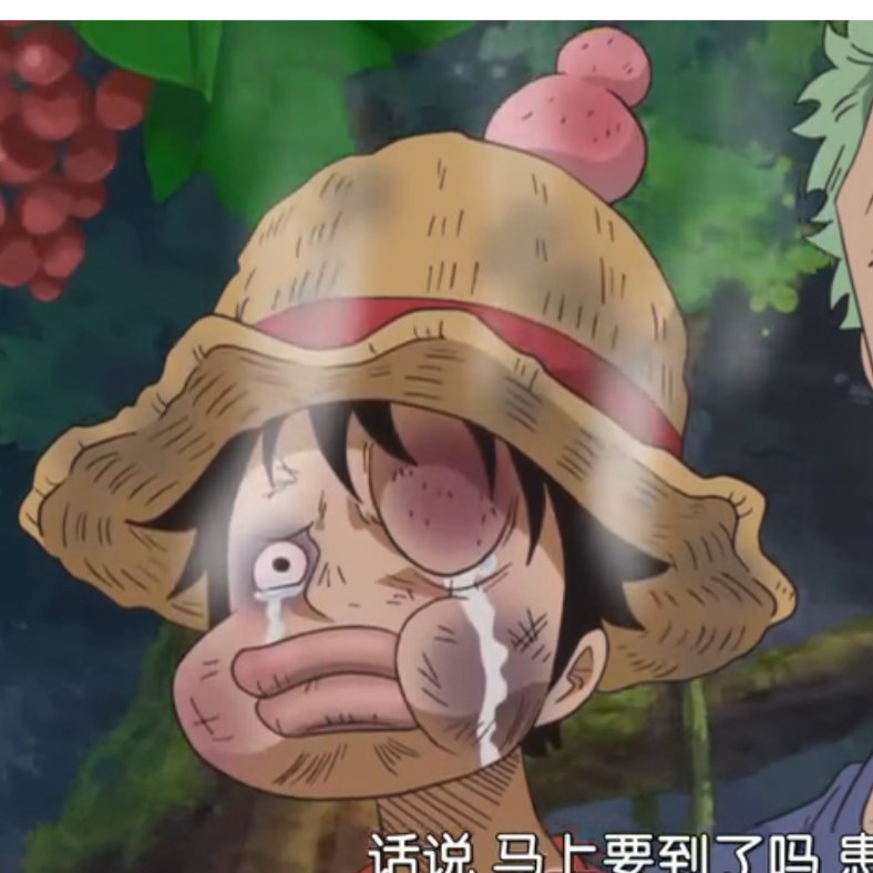 蝎