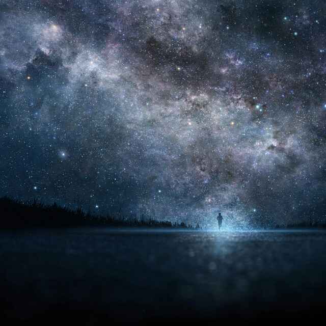 就像蓝鲸忘了海