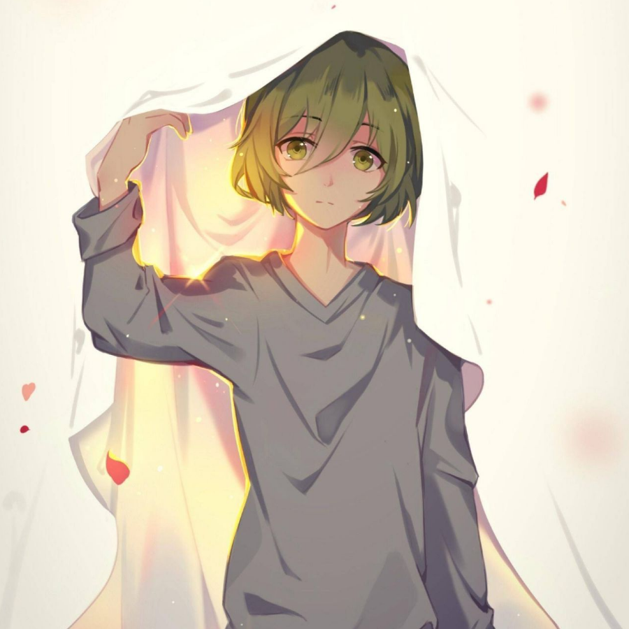木柯y