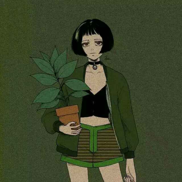 一盆植物。